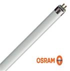 Neon T5 HE 14W840 luce Bianca Osram